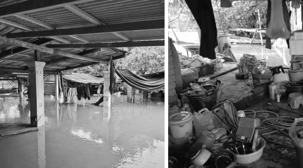 Houses in Kemaman were flooded in early January 2021. (Turtle Conservation Society Facebook)