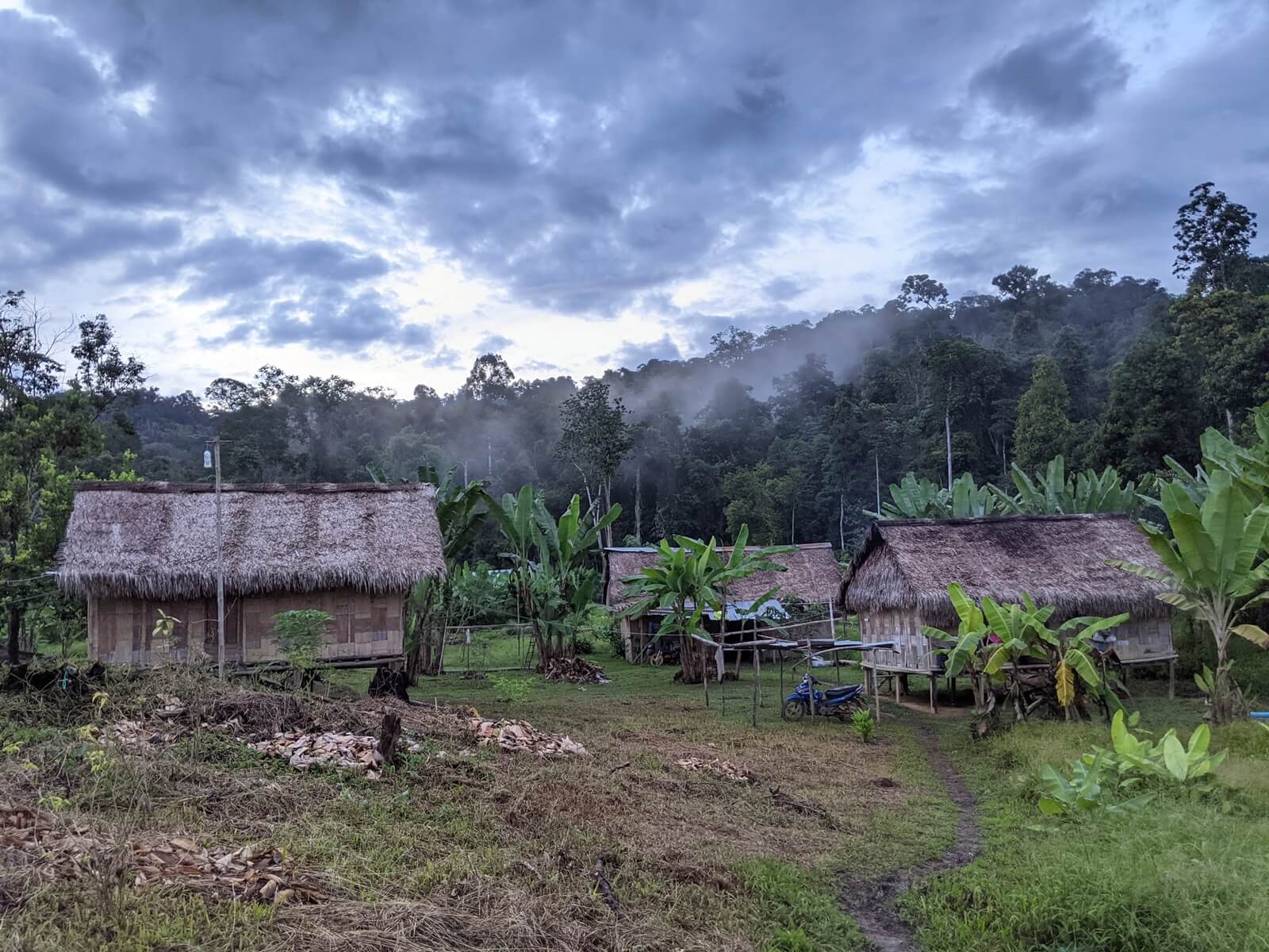 Kampung Kaloi in the Gunung Stong Selatan Forest Reserve, Kelantan, is home to Orang Asli of the Temiar tribe. (YH Law)