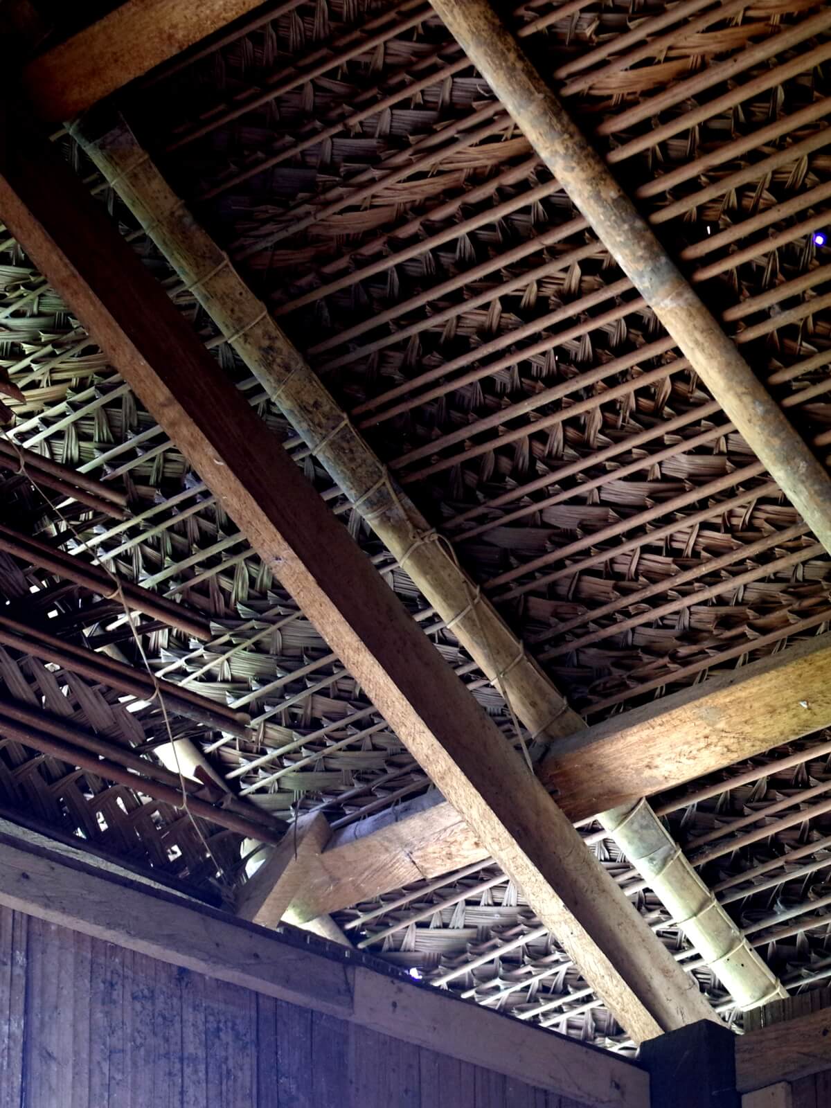 Villagers use dried palm leaves of the 'cacur' or 'beltop' varieties to thatch the roof of their community hall. (YH Law)