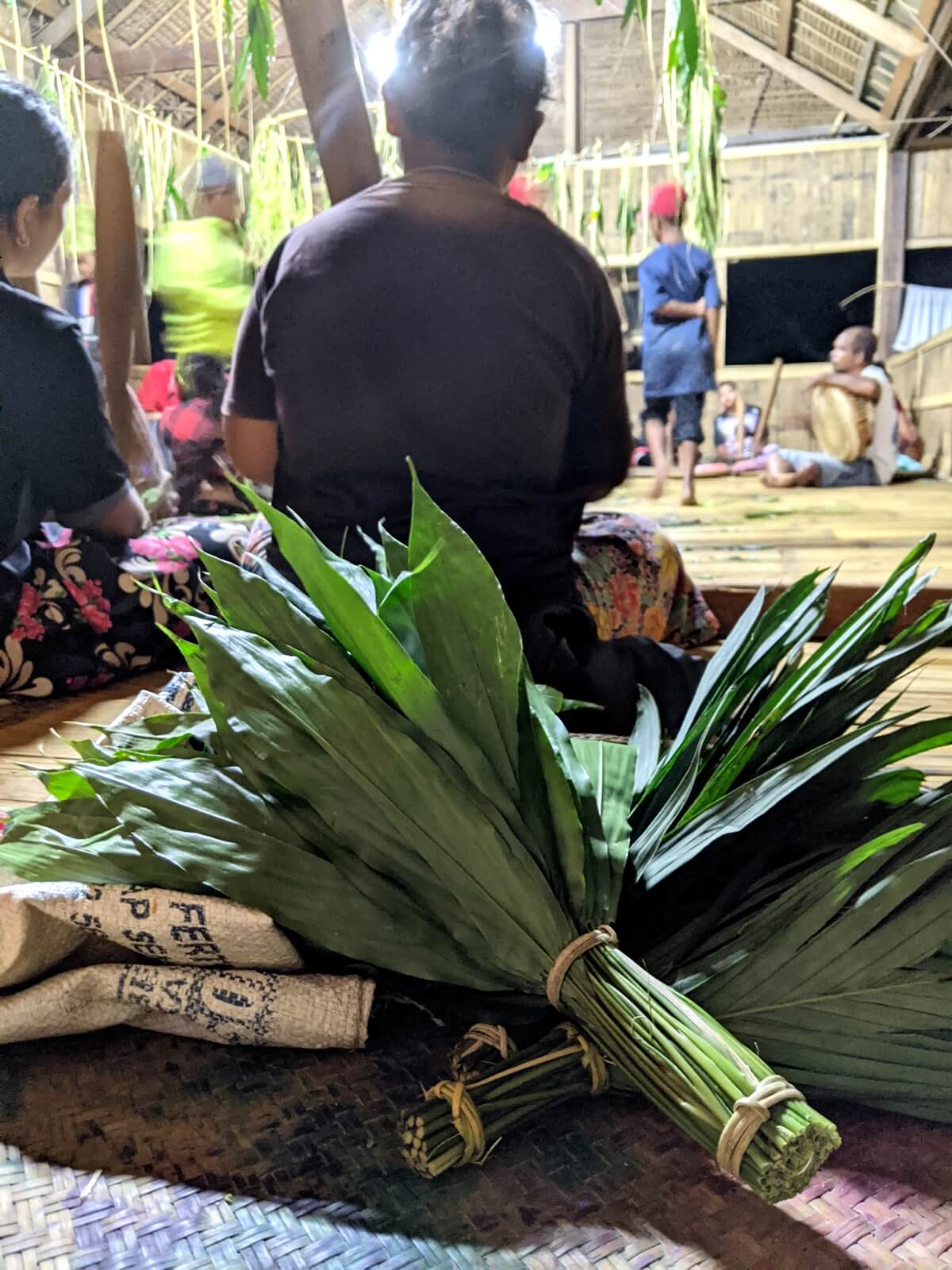 Bunches of calon leaves for the sewang were collected from a forest by Gua Musang town, 80 km away. (YH Law)
