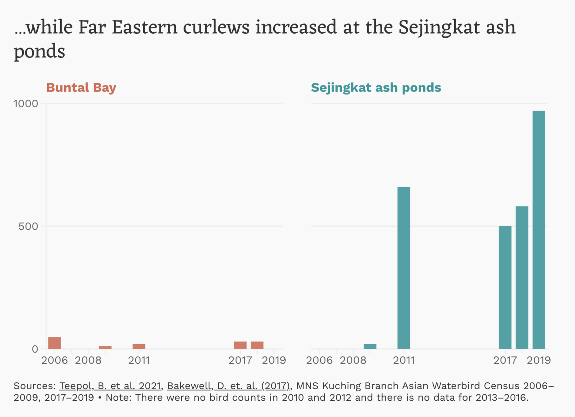Graph - Far Eastern curlews in Bako-Buntal Bay (2006-2019) - Macaranga