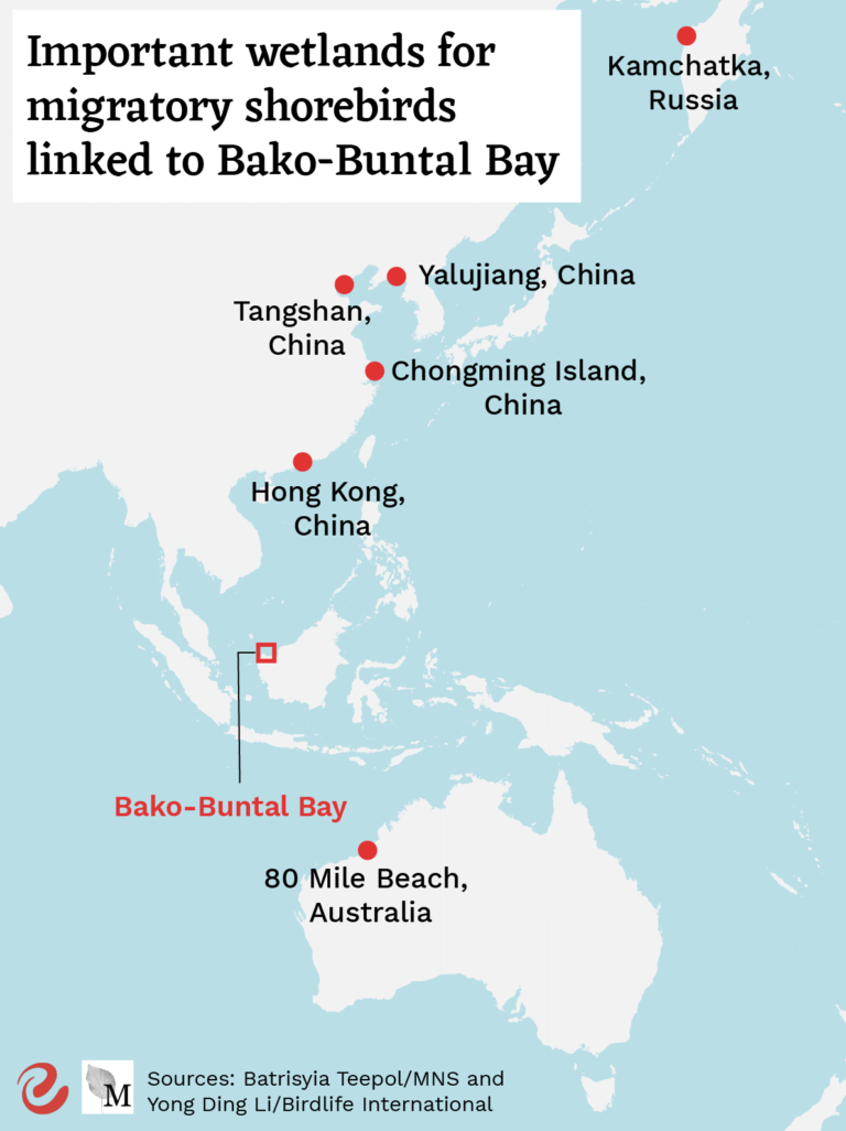 Map - EAAF sites related to Bako-Buntal Bay - Macaranga