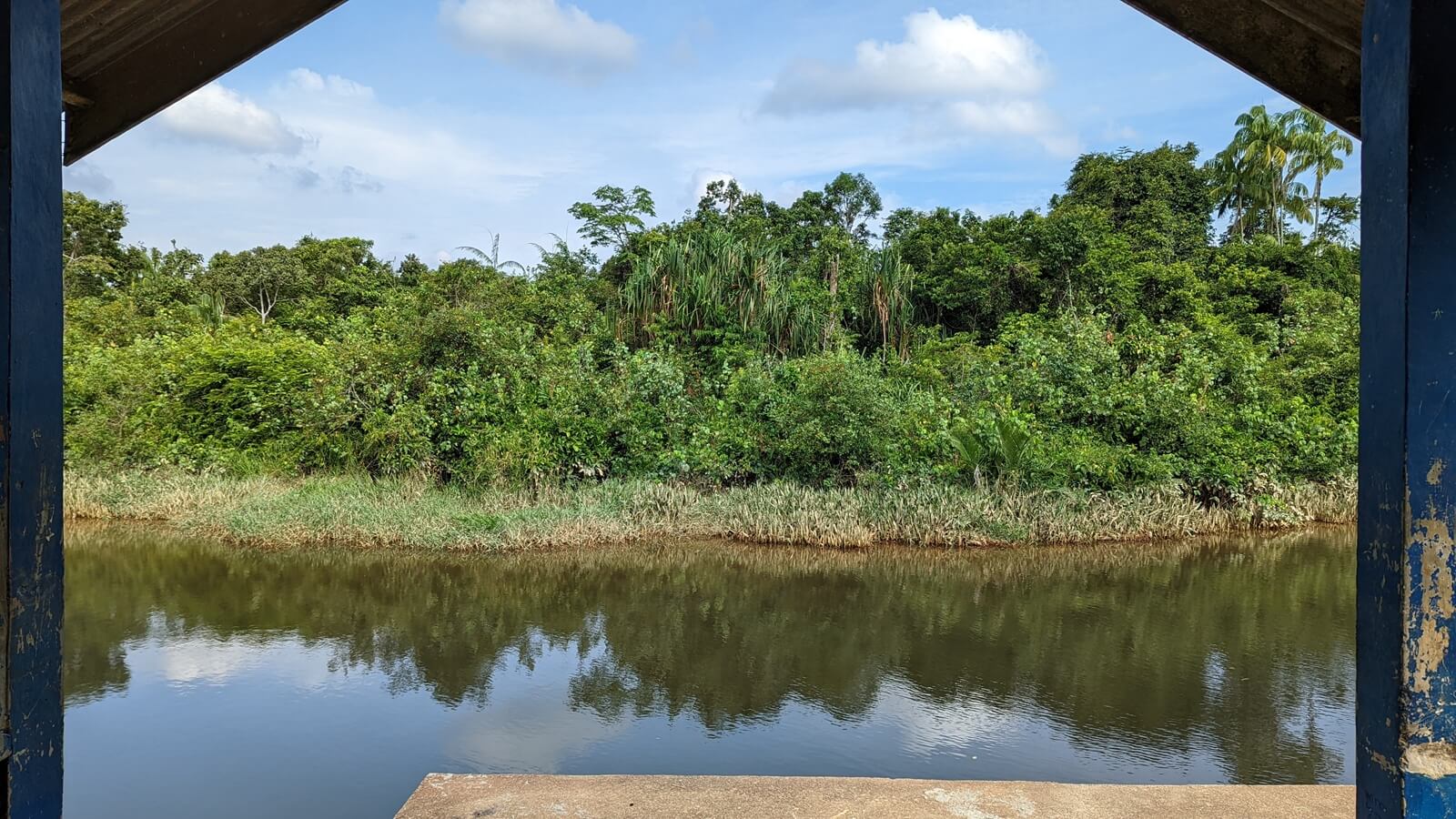 Looking across Sungai Labong from the jetty beside Ariffin’s house. Crocodiles live in the area, but locals are also worried about elephants crossing the river into their fields or villages. (YH Law)