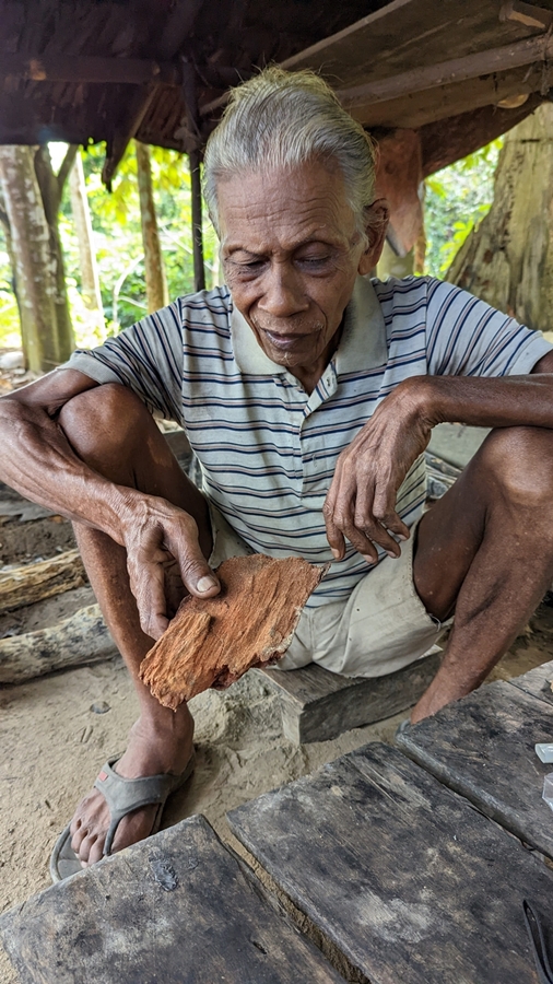 Rani Jilal, the elder of Kampung Mesau, explains the many medicinal and spiritual functions of the 'semburuk hutan' tree bark, using it as an example of how the forests provide for his people. (YH Law)