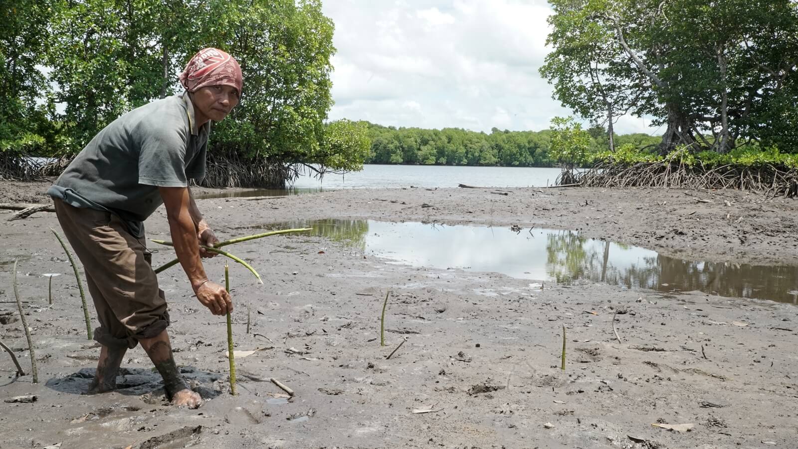 “There are areas that have been destroyed by the [shrimp farm] company that can’t be reforested, seeing that it was excavated so deeply and flooded so badly, and became a swamp. No plants can survive. We are villagers with many limitations. But we will not give up on rehabilitating the area naturally. Will will defend the 1,000 acres mangrove forests in the middle of six villages, the G6. It shouldn’t be destroyed or taken by the company but given to the six villages to be passed down from this generation to the next.” - Mastupang Somoi, 58